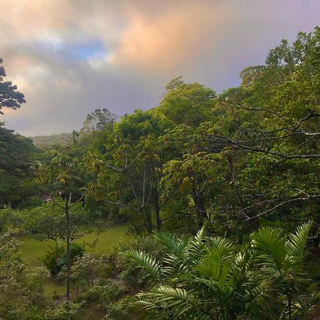 Yerbabuena Lodge Monteverde Luaran gambar