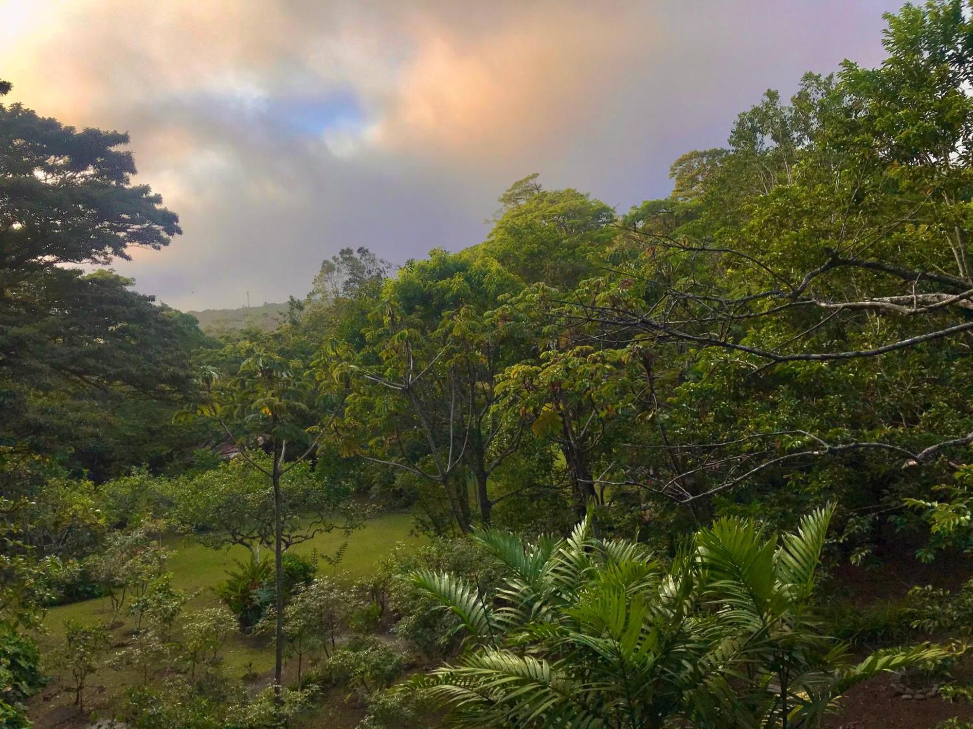 Yerbabuena Lodge Monteverde Luaran gambar